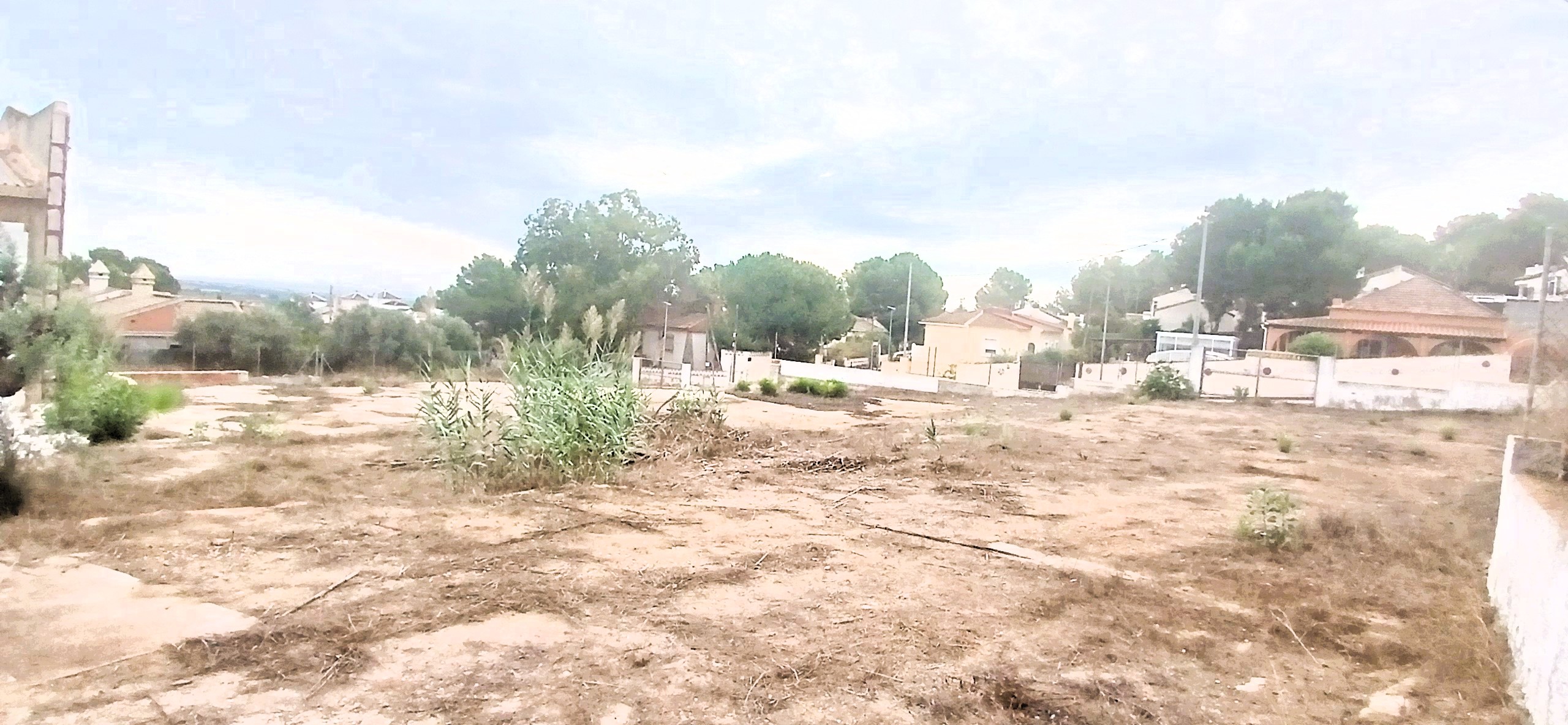Alquiler_parcela_3.600_m2,_Nave_220_m2_Jacarilla