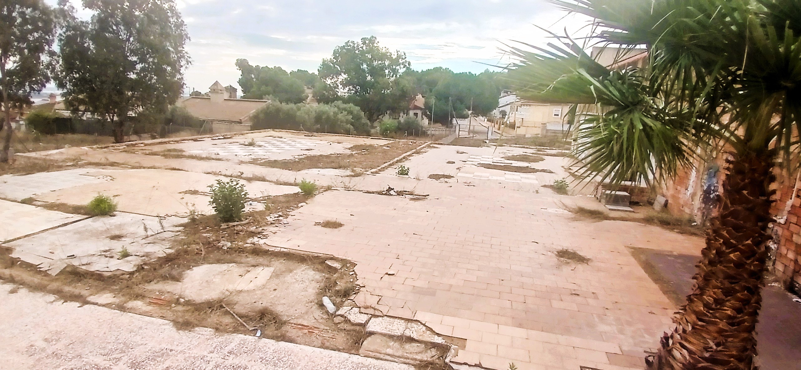 Alquiler_parcela_3.600_m2,_Nave_220_m2_Jacarilla