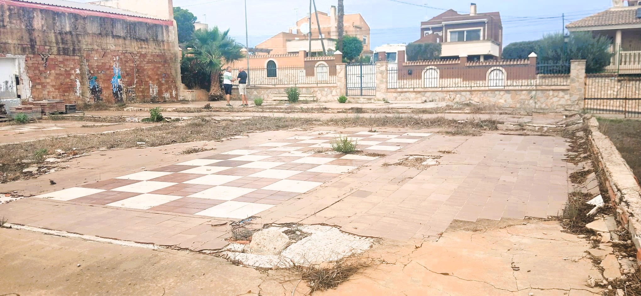 Alquiler_parcela_3.600_m2,_Nave_220_m2_Jacarilla